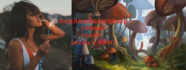 тгк Алексеевка