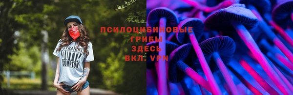 тгк Алексеевка