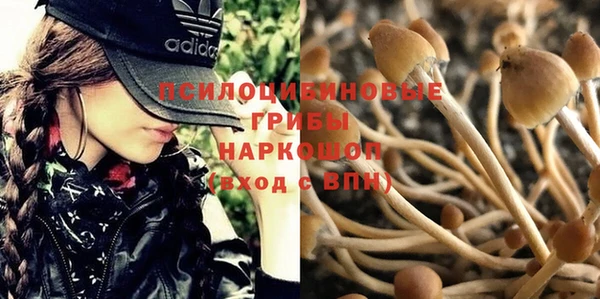 экстази Алексин