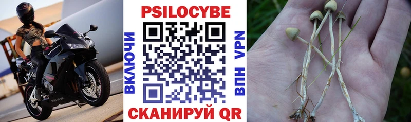 дарнет шоп  Кыштым  Псилоцибиновые грибы MAGIC MUSHROOMS 