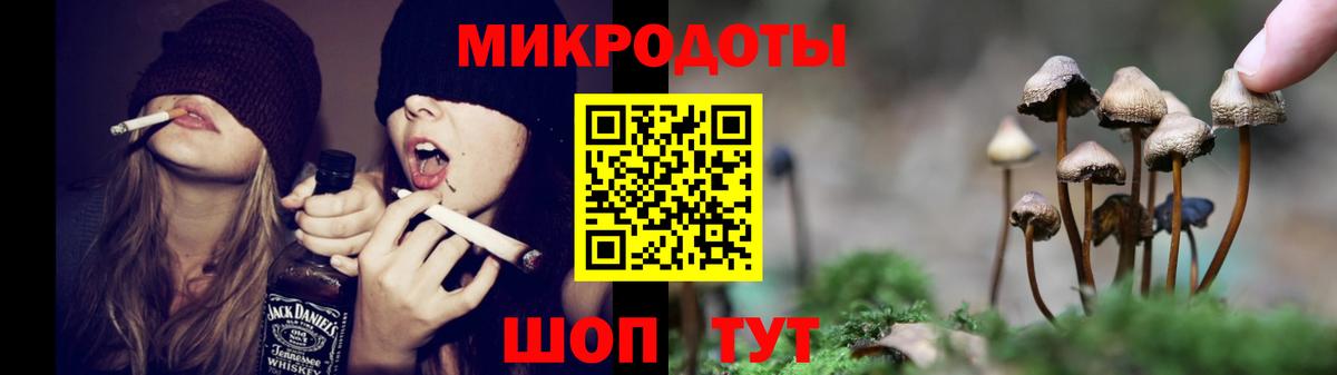 Кыштым  Псилоцибиновые грибы MAGIC MUSHROOMS  Вход с VPN 